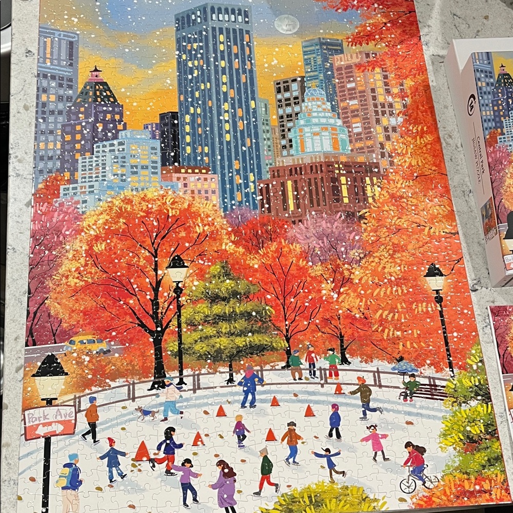 BBOLDIN Central Park 1000 Piece Puzzle